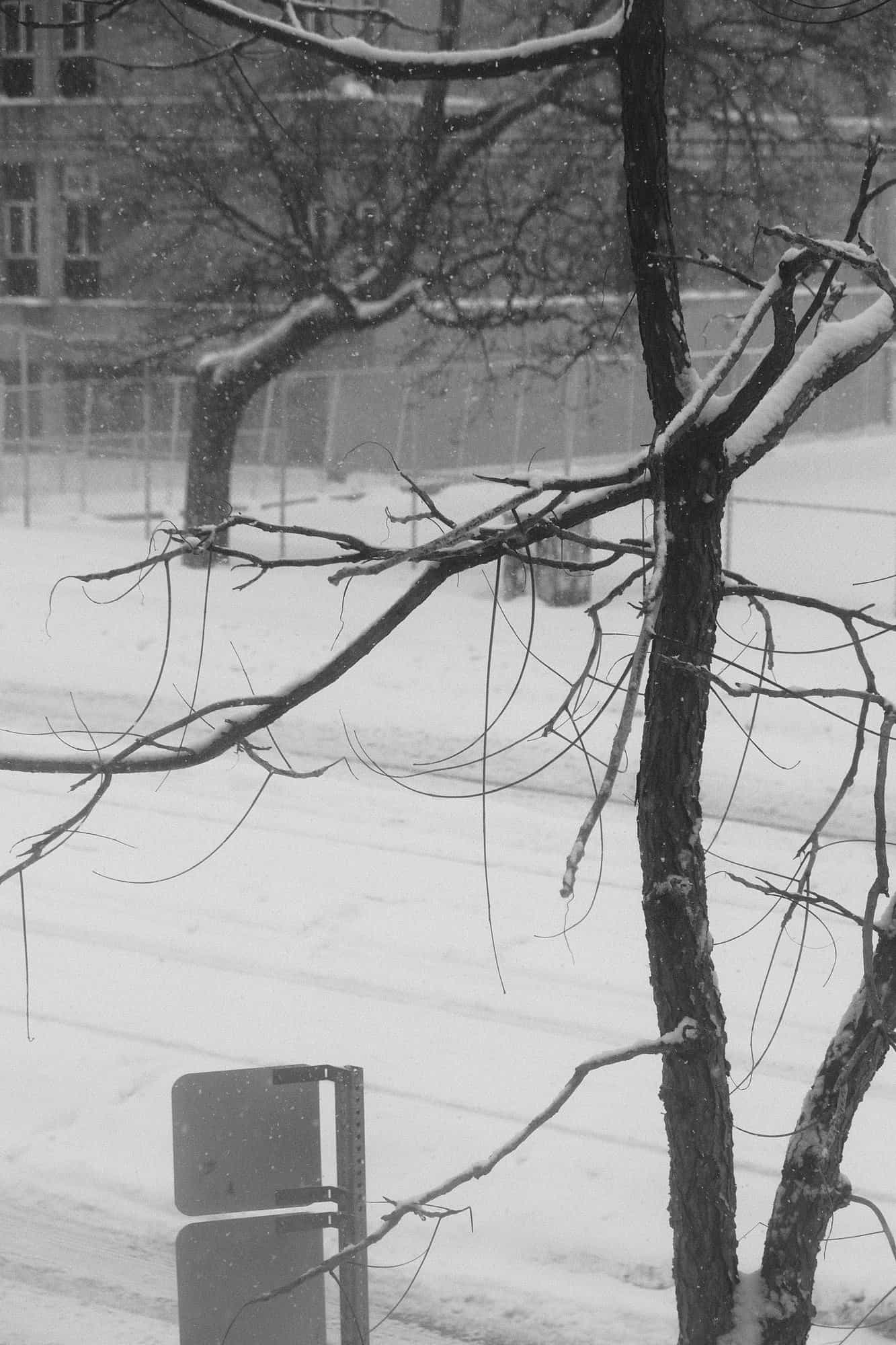 Through the Window
