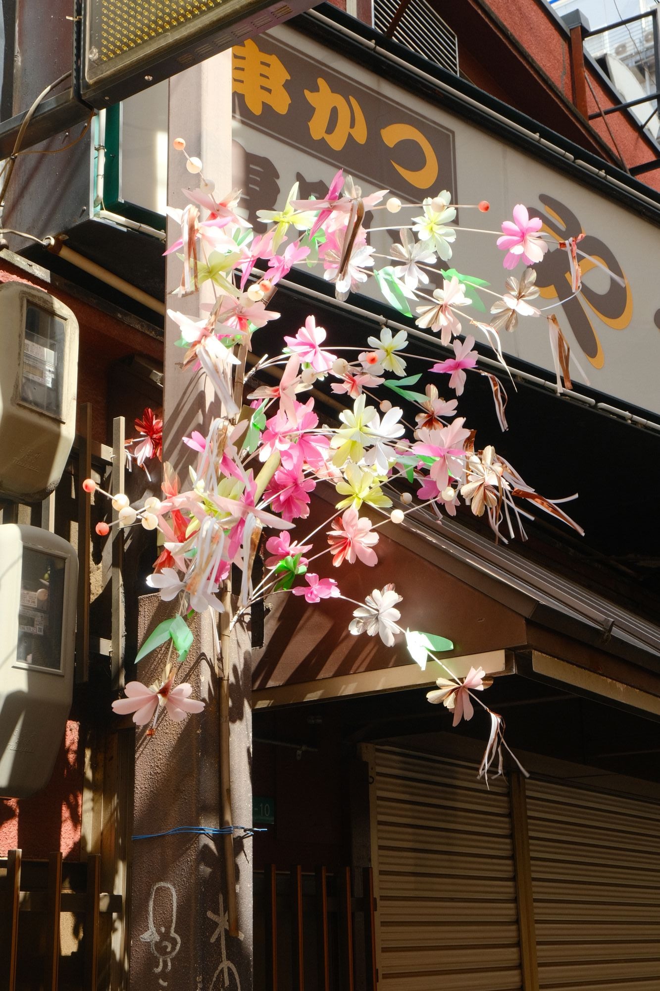 Flower in Osaka?