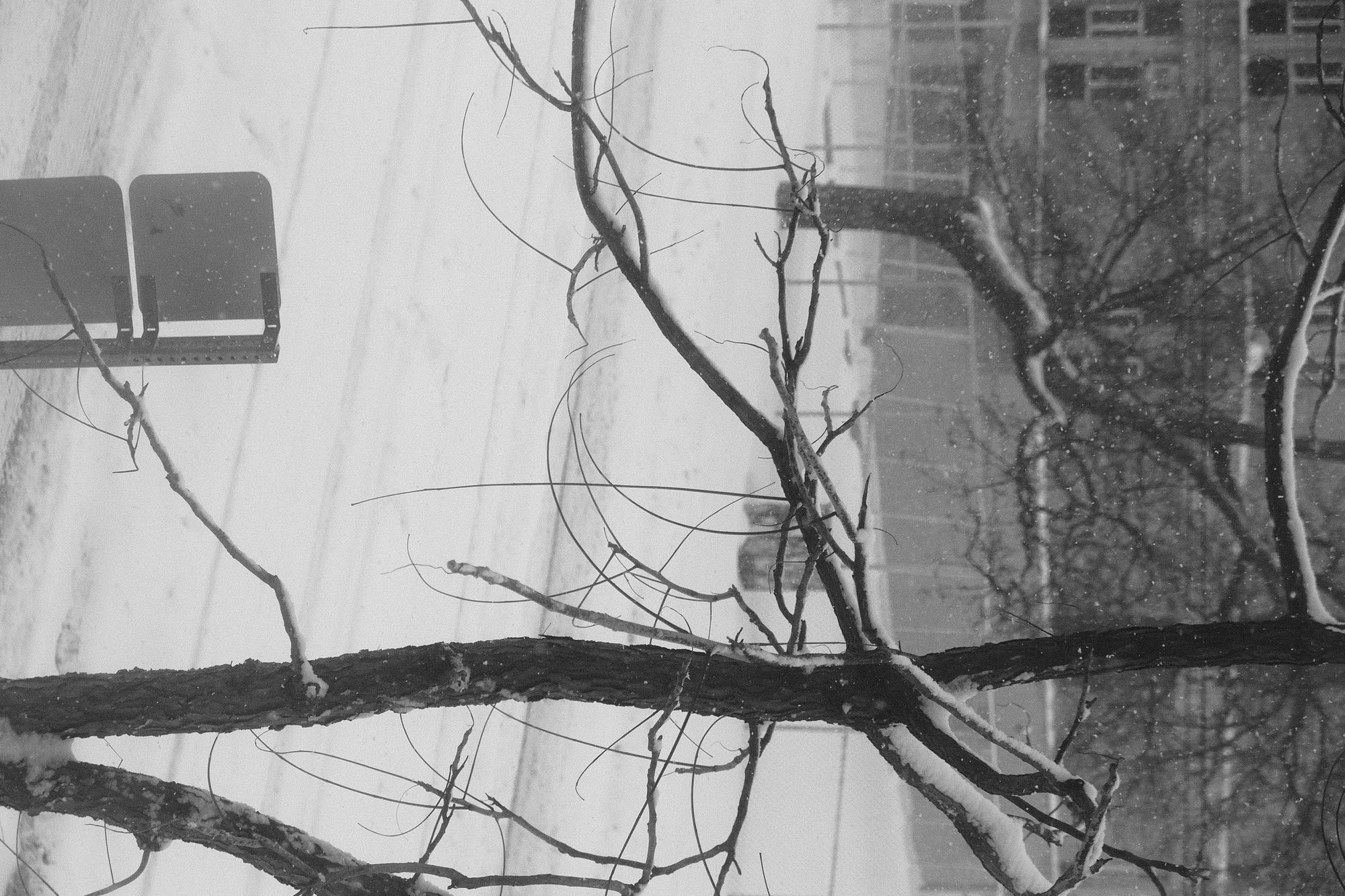 Winter Wipeout