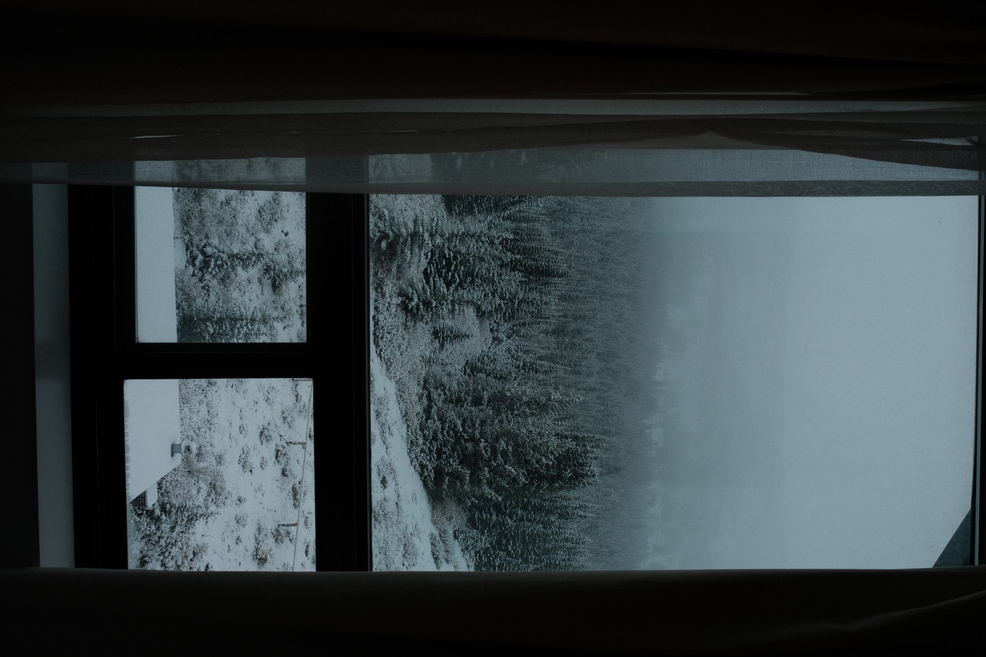 DSCF3083-JPG